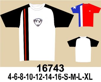16743 POLERA RAGLAN CON CORTES DELANTERO